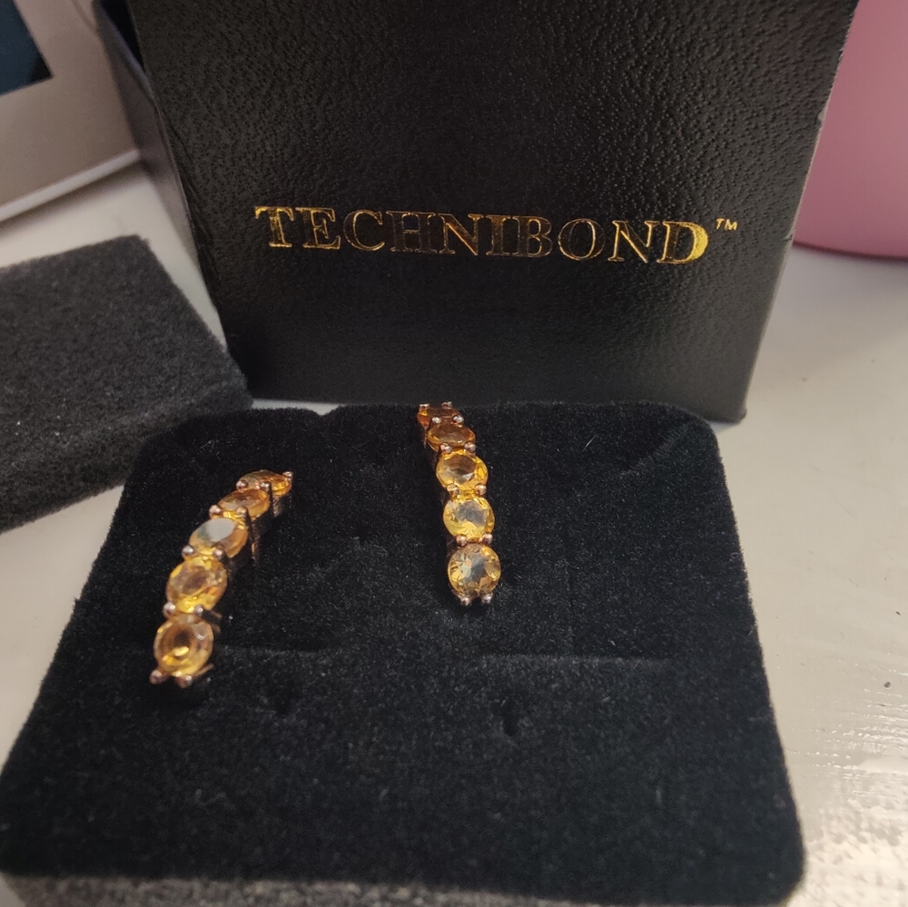 New in Box 5 Stone Technibond Earrings